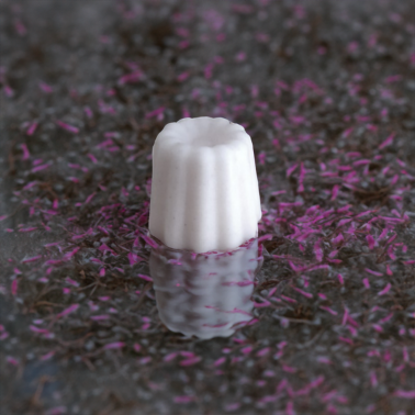 Delicate Tamarisk - Wax Melt