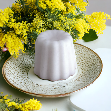 Mimosa Pompons - Fondant Parfumé