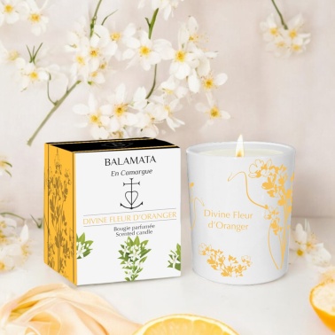 Divine Orange Blossom Scented Candle 200g